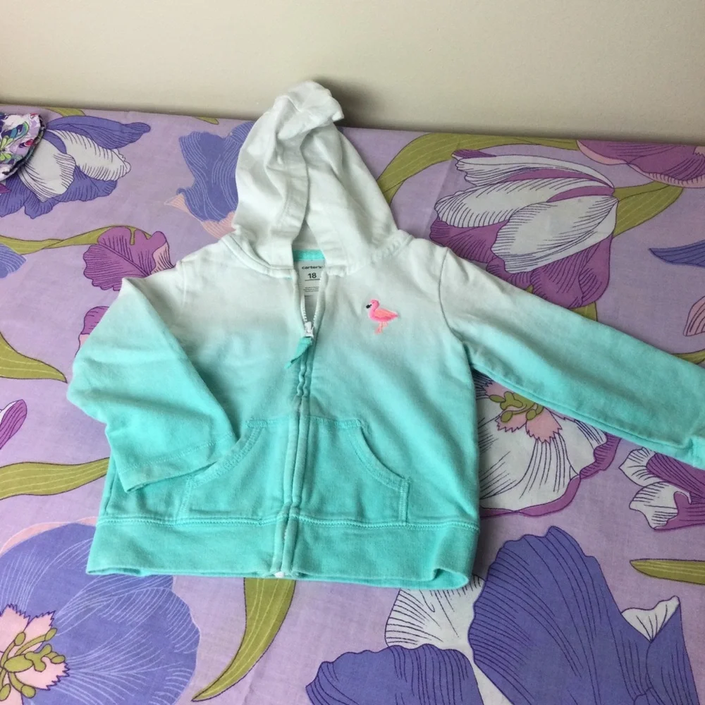 Like New Toddler Girl  Lot 4 pieces   2 sets Carter’s